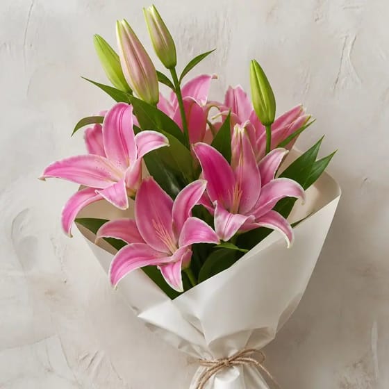 Bunga Segar Lily Pink Potong