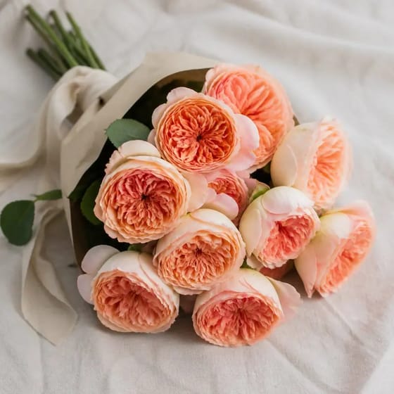 Bunga Segar Mawar Garden Peach