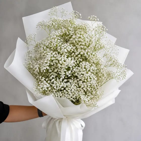Buket Wisuda Baby Breath