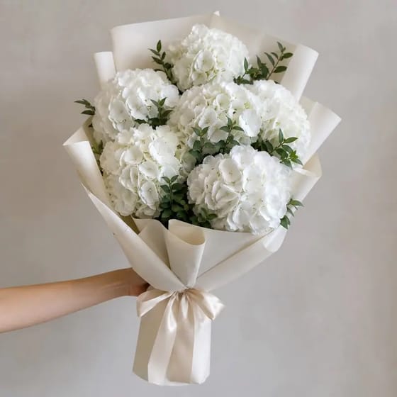 Buket Wisuda Hydrangea Putih