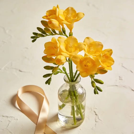 Karangan Bunga Freesia Harum