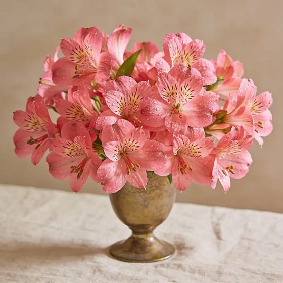 Karangan Bunga Alstroemeria Pink