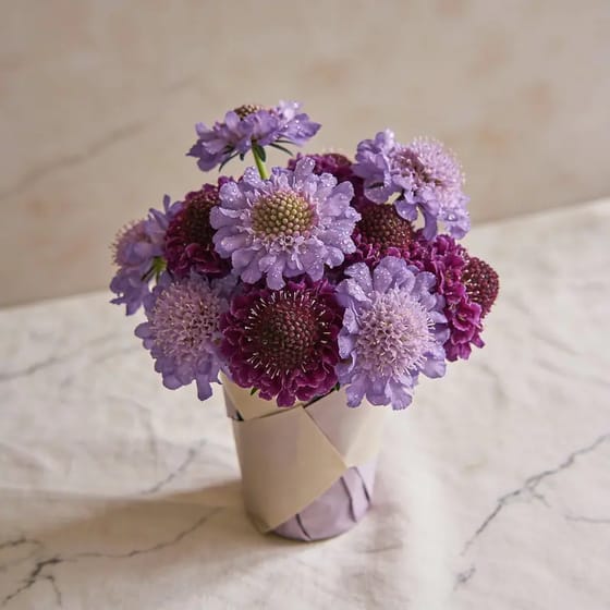 Karangan Bunga Scabiosa
