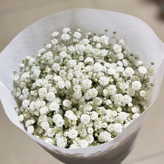 Buket Bunga Baby Breath