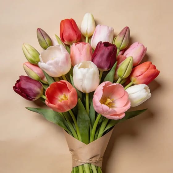 Bunga Segar Tulip Belanda