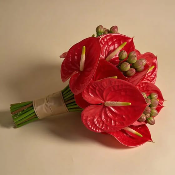 Bunga Segar Anthurium Daun
