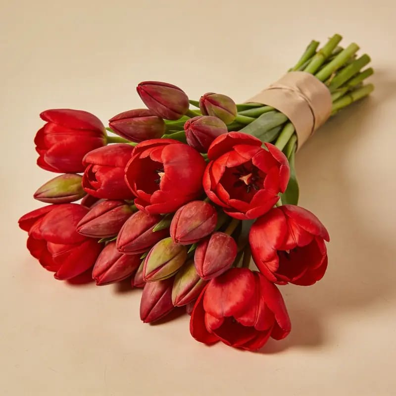 Bunga Segar Tulip Merah Potong