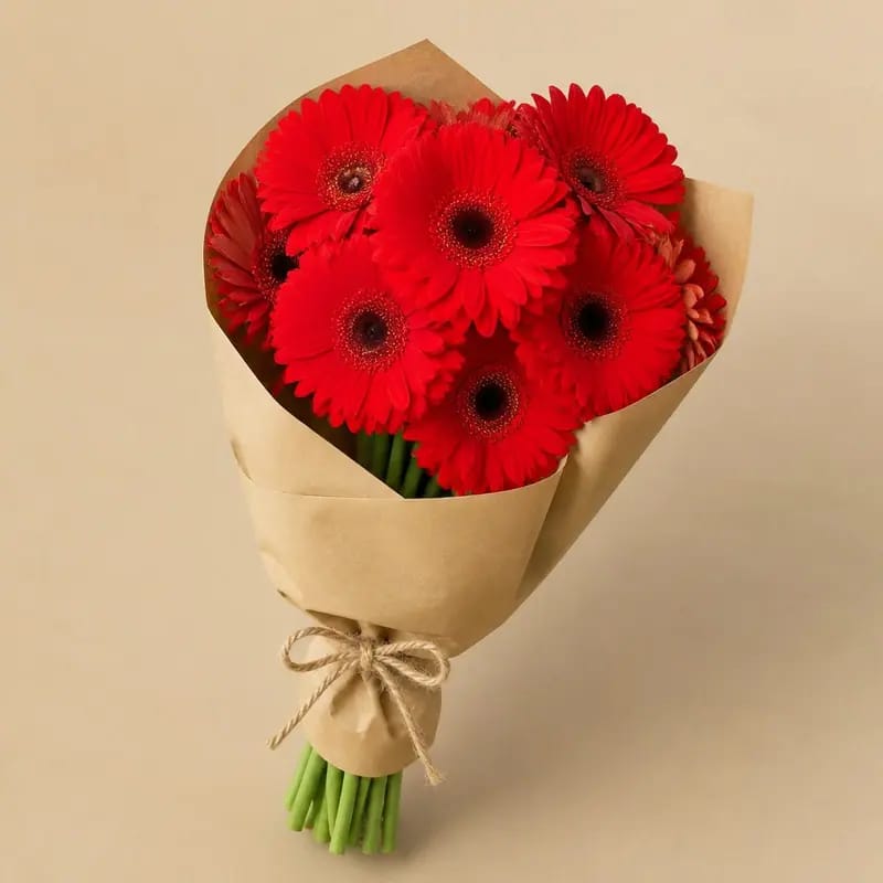 Bunga Segar Gerbera Merah