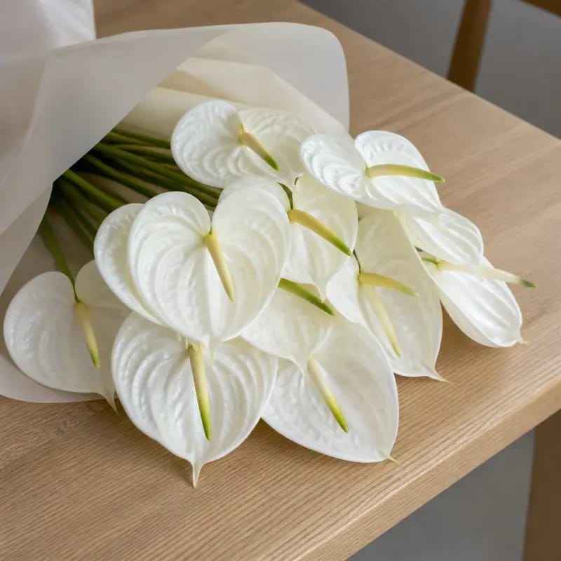 Bunga Segar Anthurium Putih