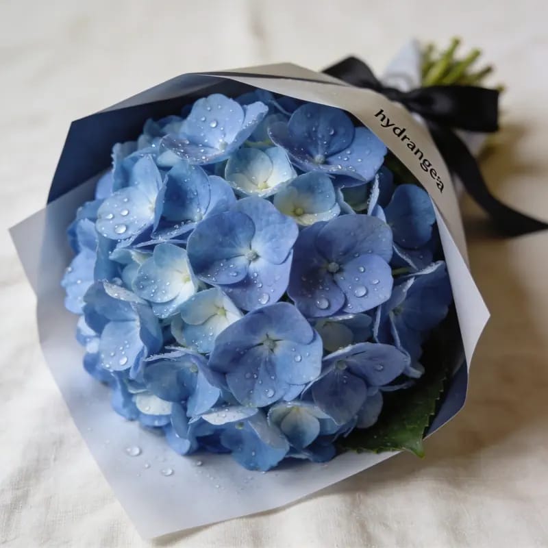 Buket Wisuda Hydrangea
