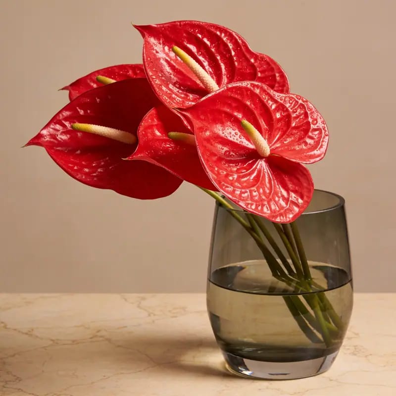 Karangan Bunga Anthurium Merah