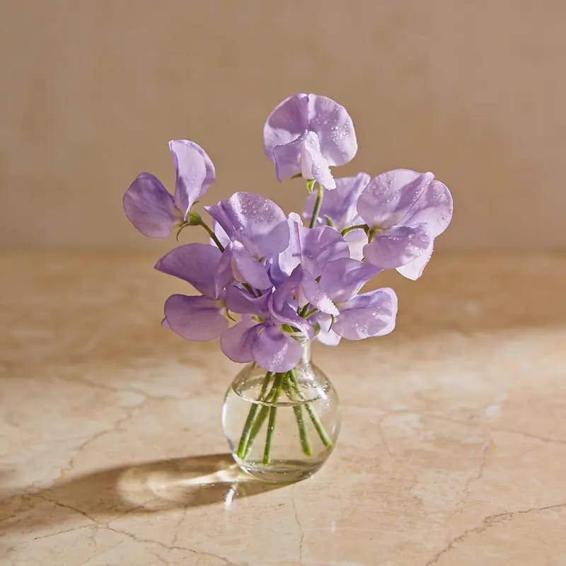Karangan Bunga Sweet Pea