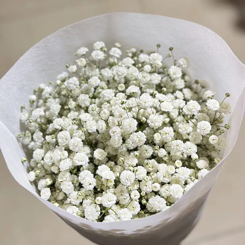 Buket Bunga Baby Breath