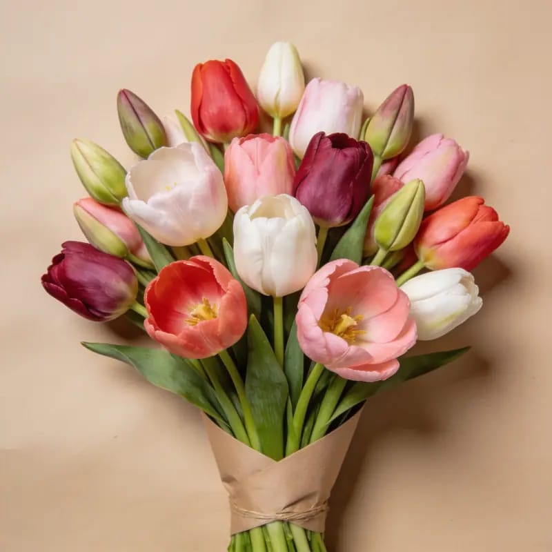 Bunga Segar Tulip Belanda