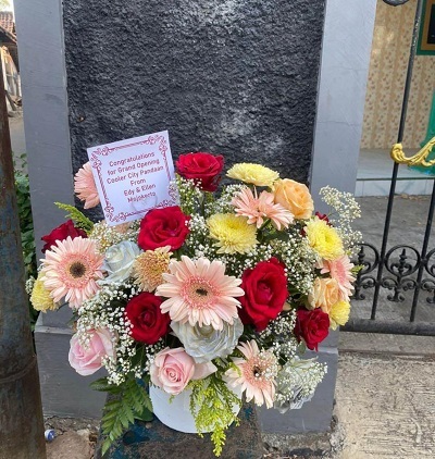 Harga Bunga Box Murah Pakis